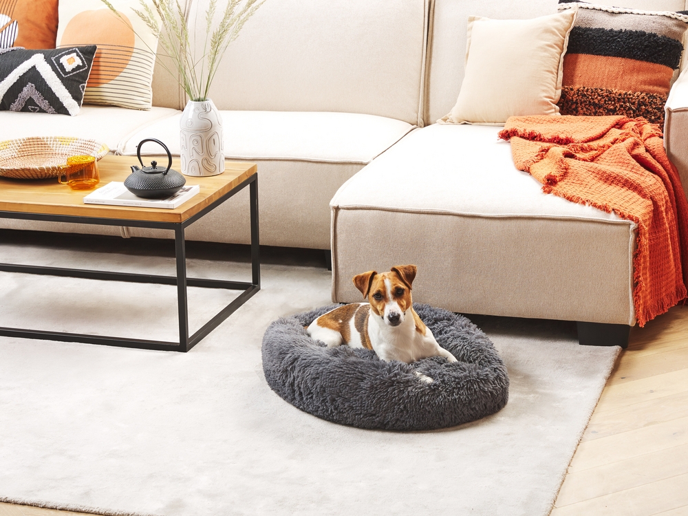 Grey fur hotsell dog bed